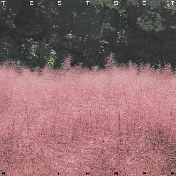 Amazon.co.jp: 1STST - TESTSET: ミュージック