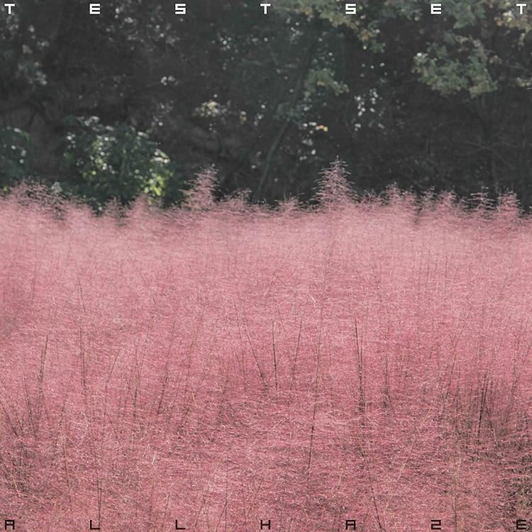 Amazon.co.jp: 1STST - TESTSET: ミュージック