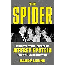 Perversion of Justice: The Jeffrey Epstein Story : Amazon.sg: Books