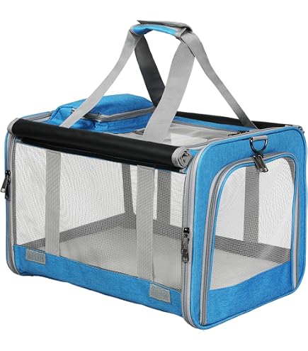 M-Pets Sixties Clock Pet Carrier, Blue : Amazon.com.au: Pet Supplies