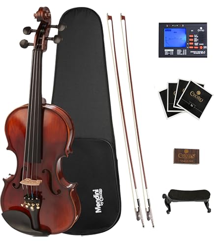 Amazon | Cecilio CVN-320L Solidwood Ebony Fitted Left-Handed