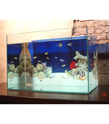 超貴重！60ｃｍ水槽用リアルバックスクリーン 60cm水槽用 丈夫な塩ビ製バックスクリーン 60×35cm 黒 | チャーム