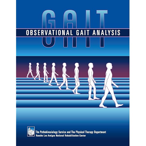 Amazon.co.jp: Muscles: Testing and Function, with Posture and Pain