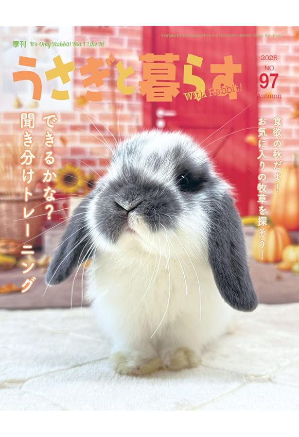うさぎページ Amazon.co.jp: うさぎのきもちVOL.6 ([バラエティ]) : 東京書店: 本