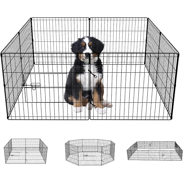 yours droolly exercise pen