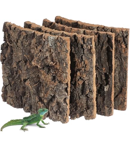 Amazon.co.jp: テラリウム用 バックボード 立体背景 ～木が