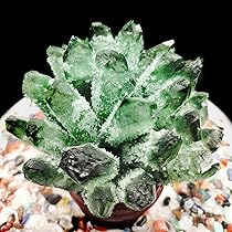 Amazon.co.jp: クリスタル 天然水晶 緑水晶 グリーン 天然石
