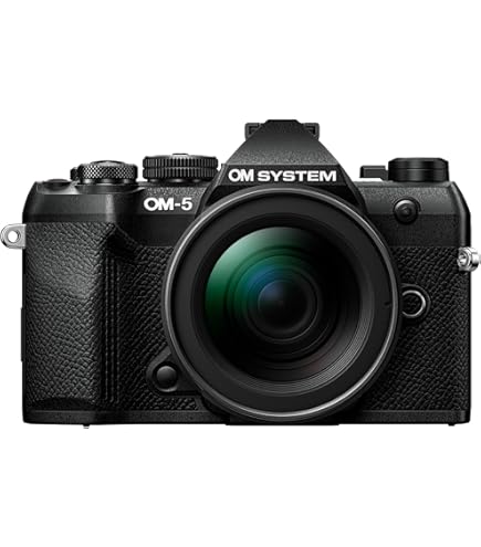 【美品】 OLYMPUS オリンパス OM-D E-M5 MarkⅢ 中古：B(並品)】オリンパス OM-D E-M5 MarkII ボディ ブラック