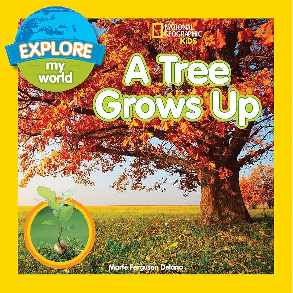 Amazon.co.jp: A Grand Old Tree : 本