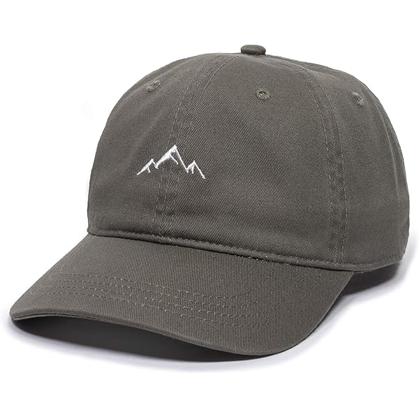 Amazon | Carhartt Men's Canvas Cap, BlackBerry, OFA