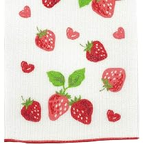 Amazon.co.jp: コージカンパニー ナイロンボディタオル 25×100cm