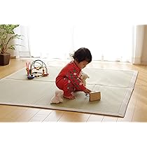 IKEHIKO 宮田織物　日本産い草で織ったい草ラグ　久留米織　140×200 イケヒコ×宮田織物 久留米織ヘリ使用 日本産い草で織った い草