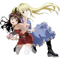 アニメDVD付予約限定版 To LOVEる -とらぶる- (17) | 矢吹健太朗