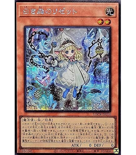 Amazon.co.jp: 遊戯王カード 白魔女ディアベルゼ白魔女ディアベルゼ
