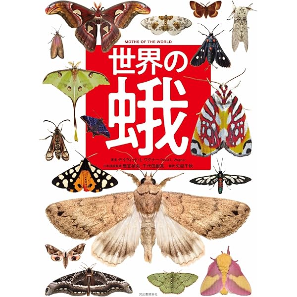鱗翅類学入門: 飼育・解剖・DNA研究のテクニック | 那須 義次, 広渡