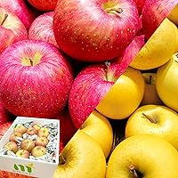 Amazon.co.jp: 【光センサー選別品】 りんご 訳あり ご家庭用 キズあり