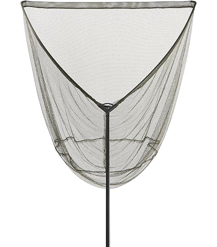 Amazon | ダイワ(DAIWA) ブラックウィドウ 25A カープフィッシング