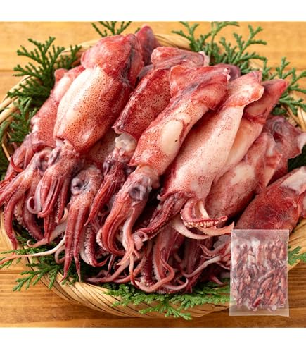 Amazon.co.jp: 大阪名物 いか焼き マシーン : 食品・飲料・お酒
