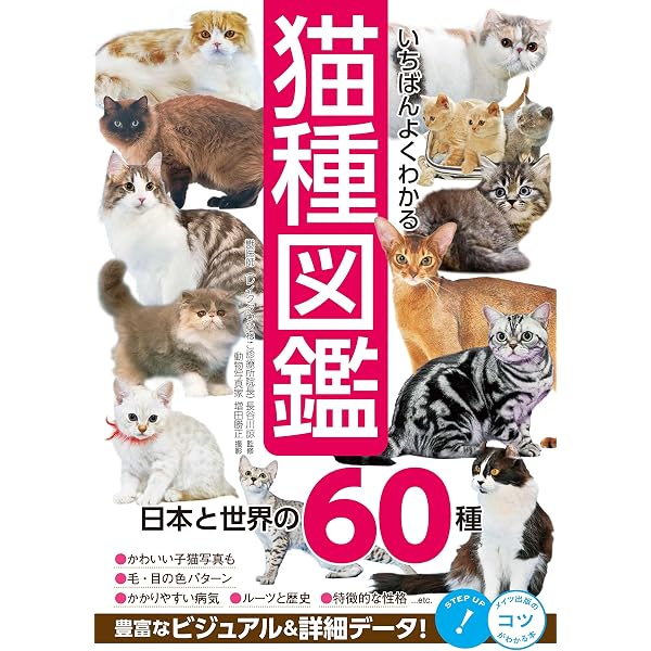 猫の教科書 改訂版 | 高野 八重子, 高野 賢治 |本 | 通販 |