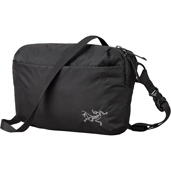 Amazon | [アークテリクス] ARCTERYX マンティス2ウエストパック