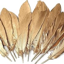 金の羽 81YYHMp6xKL._AC_UL210_SR210,