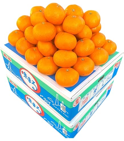 Amazon.co.jp: Nagasaki Prefecture Nishikai Ajimaru Mikan Red