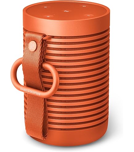 Amazon.co.jp: 【国内正規品】B&O play BeoPlay A2 ワイヤレス