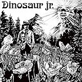 Dinosaur Jr. [Analog]