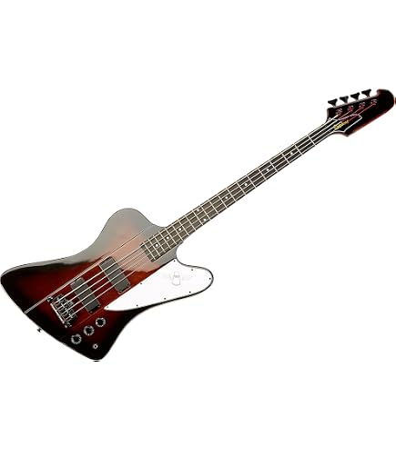Amazon | エピフォン Epiphone 940-ETBCS Thunderbird Bass Case