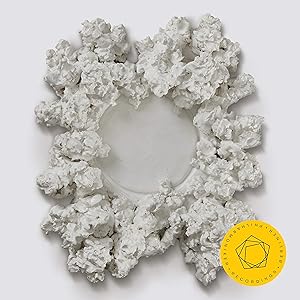 Symphony No. 9 in D Minor, Op. 125: I. Allegro ma non troppo…