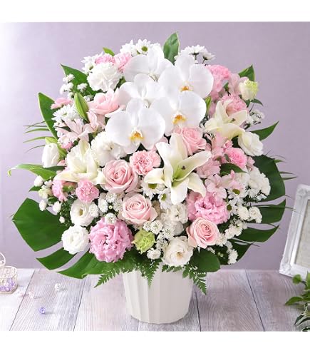 仏花、お供え花、ピンク胡蝶蘭アレンジ　初盆　法事 Amazon｜仏花 お供え 豪華 法事 法要 命日 仏壇 供花 おしゃれ 生花