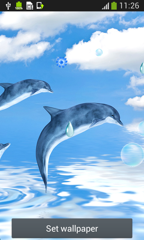 Amazon Co Jp イルカライブ壁紙 Android アプリストア