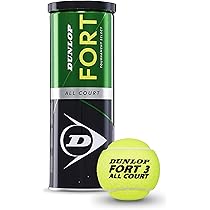 Amazon | DUNLOP Fort All Court TS テニスボール ユニ 大人用