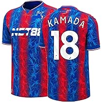 81YvtOgBL5L._AC_UL210_SR210,