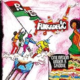One Nation Under A Groove