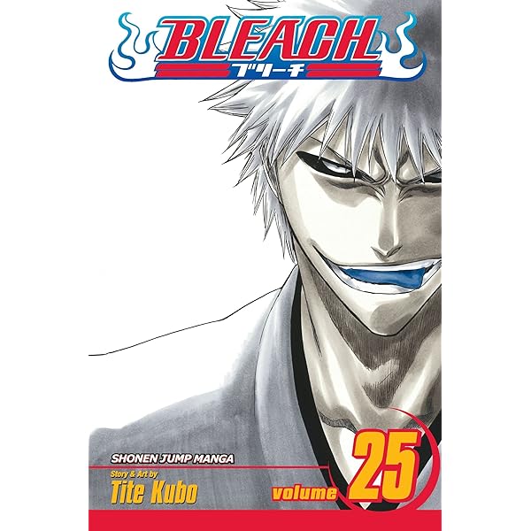 Amazon | Bleach, Vol. 27: goodbye halcyon days. | Kubo, Tite | Fantasy