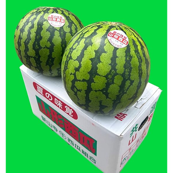 スイカ様 item_20230621_163738_827_L.jpg