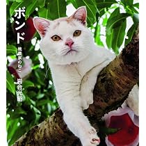 桃猫さん専用 ボンド 桃農家のねこ | 岩合 光昭 |本 | 通販 | Amazon