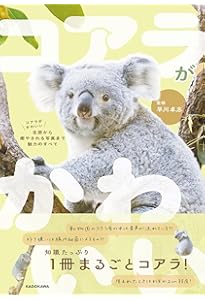 コアラのあずまちゃん | 協力：多摩動物公園 |本 | 通販 | Amazon