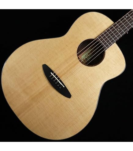 Amazon | aNueNue aNN-LF28E 【エレアコ】 アヌエヌエ | スチール弦