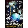 宇宙はなぜ美しいのか カラー新書 究極の「宇宙の法則」を目指して (幻冬舎新書)