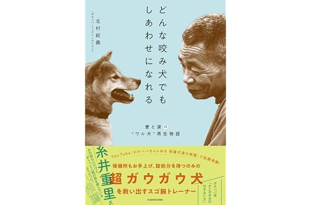 Amazon Co Jp 売れ筋ランキング 犬 の中で最も人気のある商品です