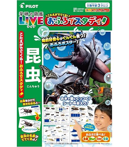 Amazon | 小学校受験マスター 教材セット 季節 野菜 果物 動物