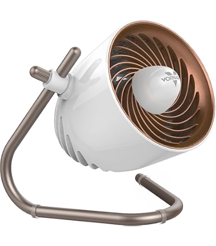 Amazon | Vornado VFAN Jr. Vintage Air Circulator, Vintage White by