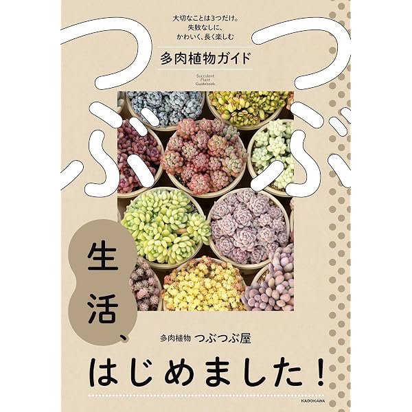 Amazon.co.jp: 多肉植物 NHK趣味の園芸12か月栽培ナビ(22) 電子