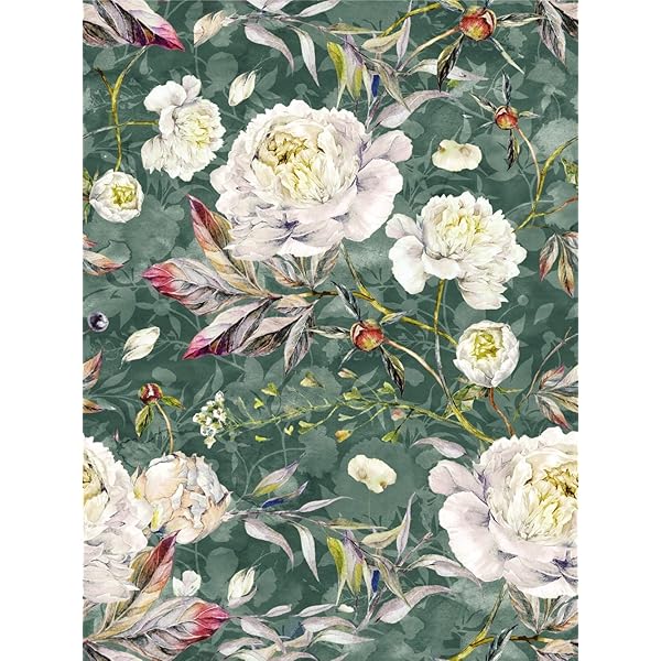 Amazon.co.jp: フランフラン??アナスイ 剥がせる壁紙 花柄 45x250cm 6 