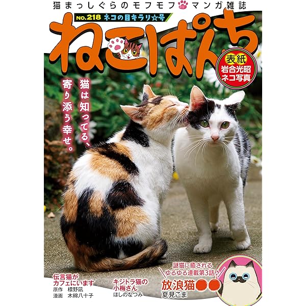 【577】猫パンチページ ねこぱんち 八周年号 (にゃんCOMI廉価版コミック) |本 | 通販