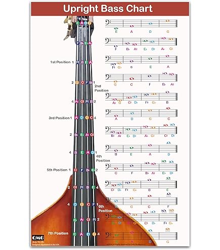 Amazon | Hallstatt WBSE-1000 [アップライトベース] (TBK