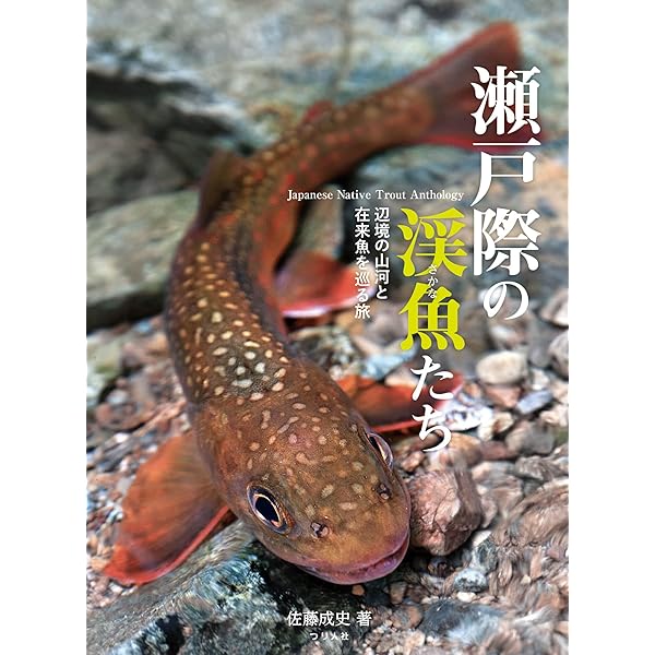 【希少・美品】六朝楽府文学史研究　佐藤大志 著（渓水社） 佐藤泰志 :福間 健二 | 河出書房新社