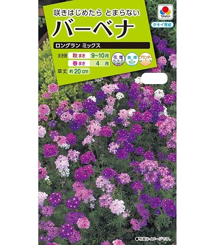 Amazon | 株式会社トーホク 切花用バーベナ 00904 | 花